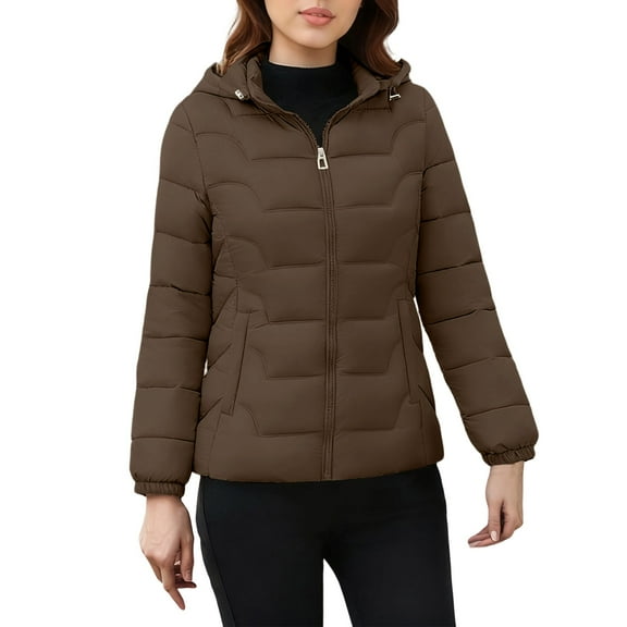 ZACPNCV Winter Women Lightweight Quilted Down Coat Waterproof Windproof Hood Outerwear Casual Warm Puffer Jackets