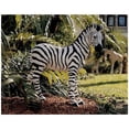 thumbnail image 1 of ZAIREN THE BABY ZEBRA                       OS3-, 1 of 1