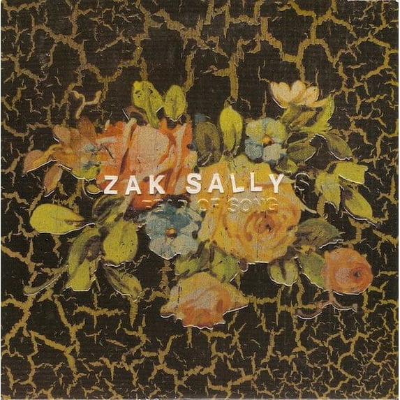 ZAK SALLY'S FEAR OF SONG - WHY WE HIDE