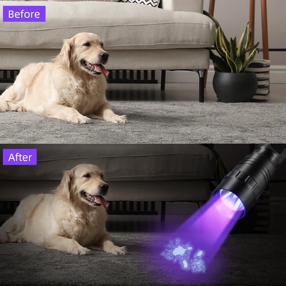 ZANHUA-Flashlight UV 395nm Black Light, Mini & Powerful Woods Lamp USB -C LED Rechargeable Blacklight, 10W Portable Pet Dog Urine Detector - Resin Curing, Fluorescent, Scorpion Detection