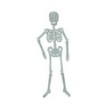 ZAROYEAX Glow in The Dark Skeleton Props Bar House Decorations