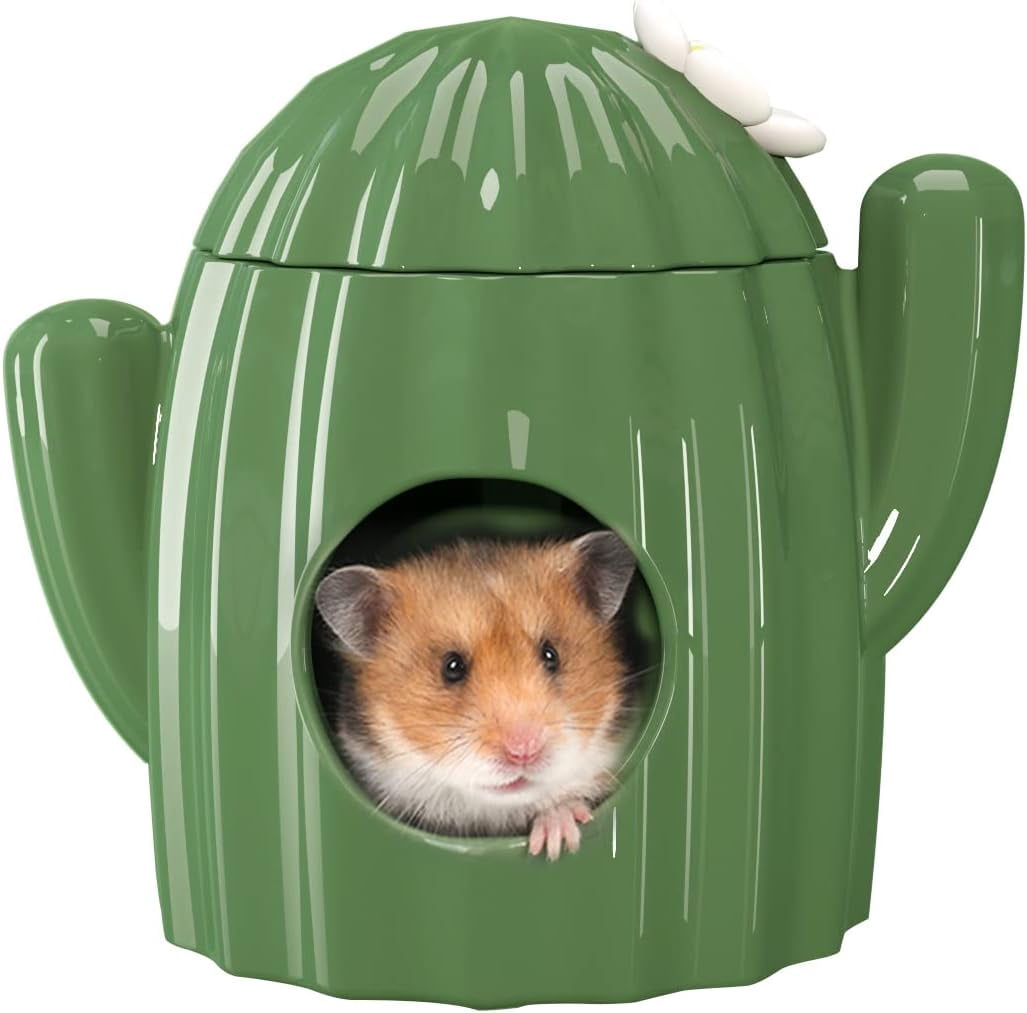 Image showcasing ZAZAIKS Hamster Hideout Ceramic - Cactus Shape Hamster House and ...