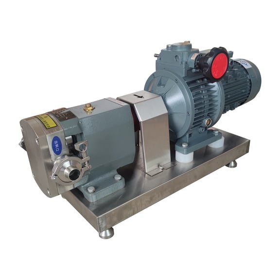 ZB3A-6 Cam Rotor Pump 0.75KW 220V Three-Lobe Rotary Pump Liquid Transfer Rotor Pump