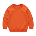 thumbnail image 1 of ZBSOKO Girls Crewneck Sweatshirts Cotton Long Sleeve Crew Neck Ribbed Cuffs Sweatshirt Basic Lightweight 1-13 Years Solid Color Top, 1 of 3