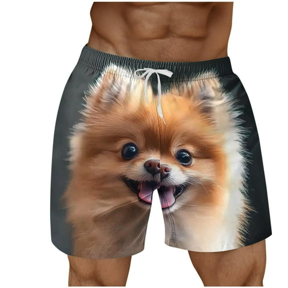 ZCFZJW 3D Animal Pattern Print Swim Trunks for Men Big and Tall Regular Fit Casual Drawstring Elastic Wasit Beach Bathing Suit Board Shorts with Pockets Khaki#02 M