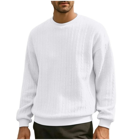 ZCFZJW Men's Crewneck Knit Sweaters Slim Fit Lightweight Casual Basic Solid Color Long Sleeve Twist Patterned Cable Knitted Pullover Sweater Tops White S
