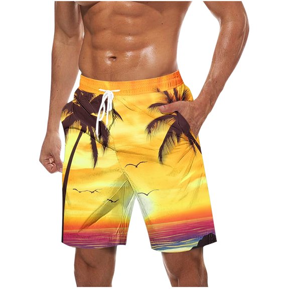 ZCFZJW Men's Swim Trunks Big and Tall Regular Fit Casual Tropical Printed Drawstring Elastic Waist Quick Dry Board Shorts Swimsuit Swimwear Bathing Suit Multicolor#10 S
