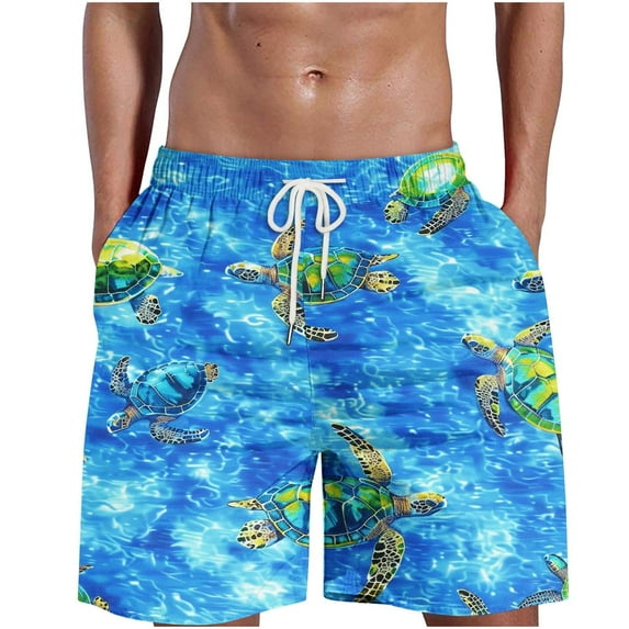 ZCFZJW Men's Swim Trunks Quick Dry 3D Ocean Marine Printed Beach Board Shorts with Pockets Casual Big and Tall Lightweight Drawstring Elastic Waist Cool Bathing Suits Sky Blue XXL