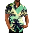 thumbnail image 1 of ZCFZJW Mens Hawaiian Shirts Short Sleeve Tropical Button Down Shirts Casual Big and Tall Regular Fit Summer Holiday Vacation Beach Shirts Tops Multicolor#02 L, 1 of 3