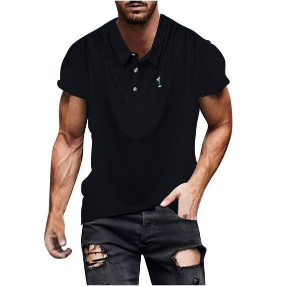 ZCFZJW Mens Summer Short Sleeve Cotton T-Shirts Loose Regular Fit Casual Solid Color Summer Short Sleeve Big and Tall Pullover Tops Lightweight Collared Shirts Black XXL