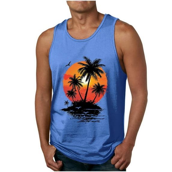 ZCFZJW Mens Workout Muscle Tanks Gym Vest Fitness Jogging Sports Tank Tops Quick-Dry Summer Sleeveless Graphic Tees Shirt Blue L