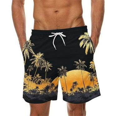 ZCFZJW Tropical Swim Trunks for Men Big and Tall Regular Fit Casual Summer Drawstring Elastic Waist Beach Shorts with Pockets Big and Tall Quick Dry Bathing Suit Multicolor#01 L
