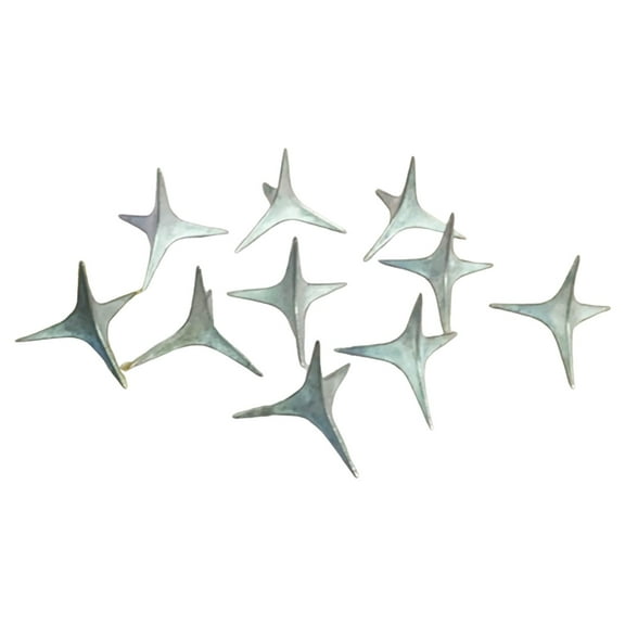 ZCSKFIN 10 Pcs of 1-inch Stainless Steel Anti-Bird Spikes, Effective Barrier for Walls, Roofs, Fences, and Property to Humanely Deter Birds from Landing and Nesting