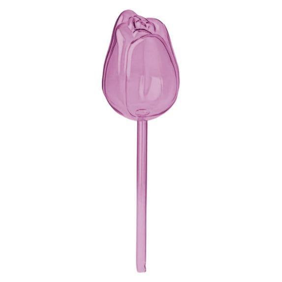 ZCSKFIN Self-Watering Globes with Terracotta Spikes, Automatic Plant Irrigation Bulbs for Indoor and Outdoor Potted Plants, Vacation-Proof Design for Consistent Moisture Delivery