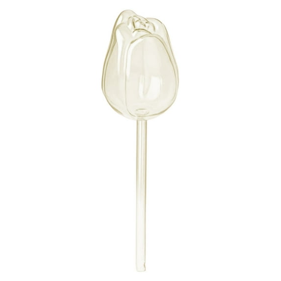 ZCSKFIN Self-Watering Globes with Terracotta Spikes, Automatic Plant Irrigation Bulbs for Indoor and Outdoor Potted Plants, Vacation-Proof Design for Consistent Moisture Delivery