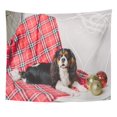 thumbnail image 1 of ZEALGNED Black Adorable Cavalier King Charles Spaniel Dog Christmas Wall Art Hanging Tapestry Home Decor for Living Room Bedroom Dorm 60x80 inch, 1 of 1