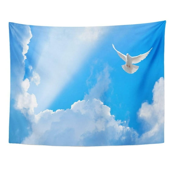 ZEALGNED Blue Spirit White Dove Flying in The Sun Rays Among Clouds Holy Faith Sky Wall Art Hanging Tapestry Home Decor for Living Room Bedroom Dorm 51x60 inch