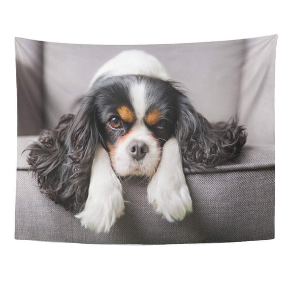 ZEALGNED Brown Charles Portrait Cute Cavalier Spaniel Puppy Grey Black Wall Art Hanging Tapestry Home Decor for Living Room Bedroom Dorm 60x80 inch