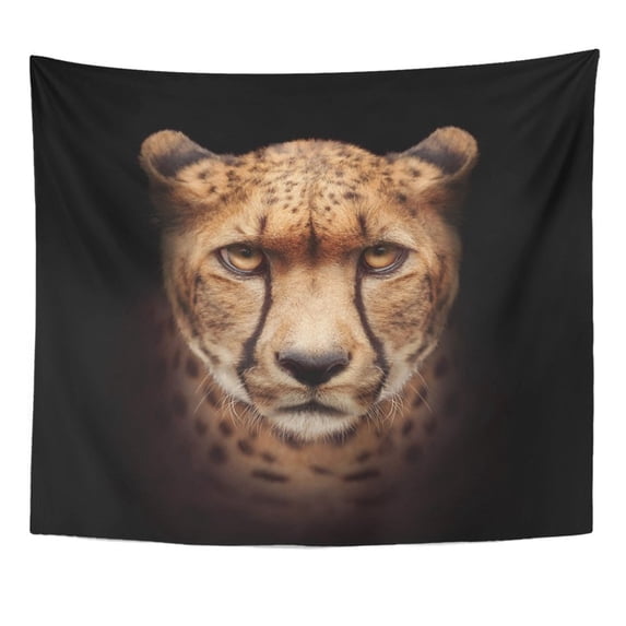 ZEALGNED Cheetah Face Black Closeup Dark Darkness Eyes Hunter Looking Wall Art Hanging Tapestry Home Decor for Living Room Bedroom Dorm 60x80 inch