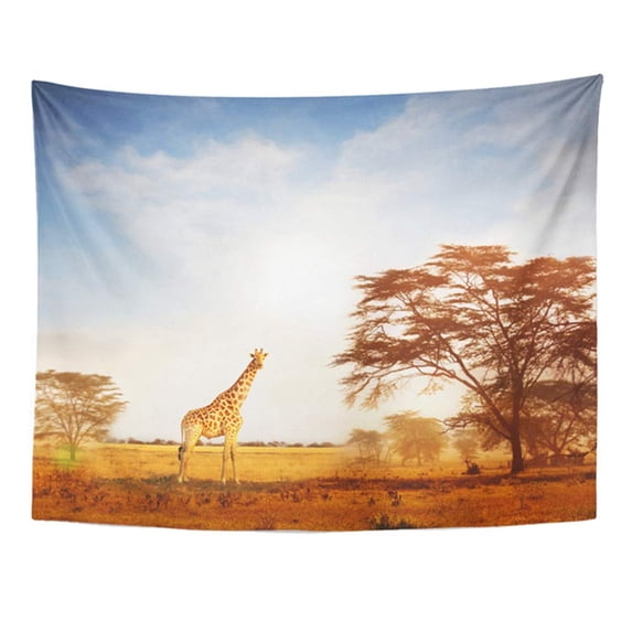ZEALGNED Giraffe in Savannah Safari Wall Art Hanging Tapestry Home Decor for Living Room Bedroom Dorm 51x60 inch