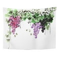 thumbnail image 1 of ZEALGNED Green Agriculture Traditional Hand Brush Ink Painting Grapes Purple Artistic Wall Art Hanging Tapestry Home Decor for Living Room Bedroom Dorm 60x80 inch, 1 of 1