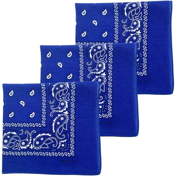 ZEN 3 PCS 100% Cotton Bandana for Men & Women 22" x 22" Paisely Pattern Handkerchief Headband Scarf