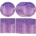 thumbnail image 1 of ZEN 40 PCS Purple Birthday Decorations - Includes 20 Paper Plates and 20 Napkins Purple Silver Glitter Party Supplies for Girl Women’s 21st 30th 40th 50th 60th 70th 75th 80th Birthday,Serves 20, 1 of 12