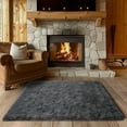 thumbnail image 1 of ZENELESS 2' x 3' Small Area Rug Kids Room Bedroom Nursery Rug Indoor Cozy Carpet Deep Grey, 1 of 7