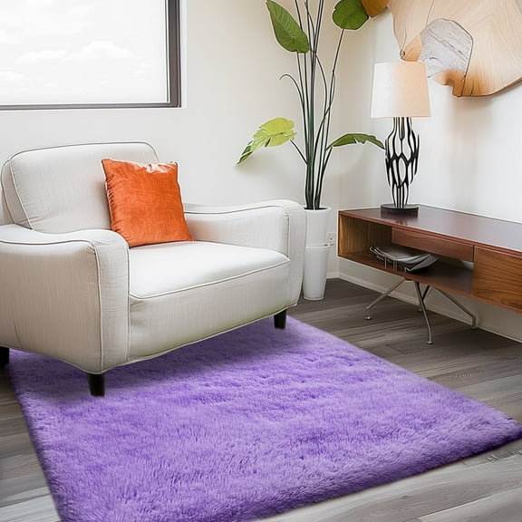 ZENELESS 2x3ft Fluffy Rug,Small Carpets,Small Soft Doormats for Doorways, Bedrooms, Kitchen and Bathroom Entrances