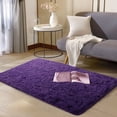 thumbnail image 1 of ZENELESS 2x3ft Fluffy Rug,Small Carpets,Small Soft Doormats for Doorways, Bedrooms, Kitchen, and Bathroom Entrances, 1 of 6