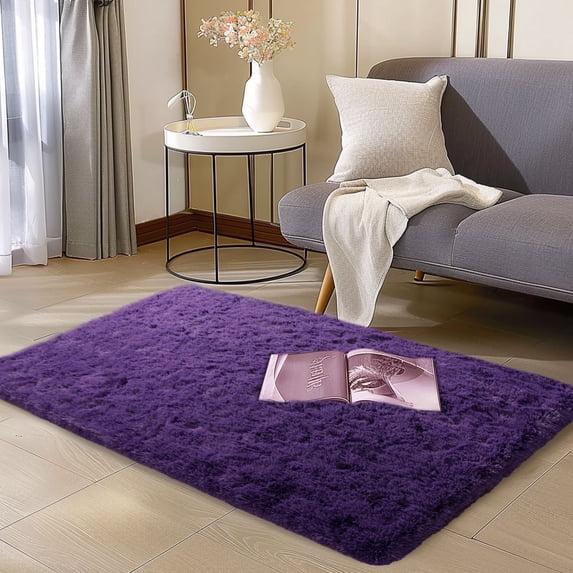 ZENELESS 2x3ft Fluffy Rug,Small Carpets,Small Soft Doormats for Doorways, Bedrooms, Kitchen, and Bathroom Entrances