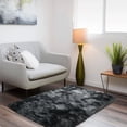 thumbnail image 1 of ZENELESS 2x3ft Fluffy Rug,Small Carpets,Small Soft Doormats for Doorways, Bedrooms, Kitchen, and Bathroom Entrances, 1 of 6
