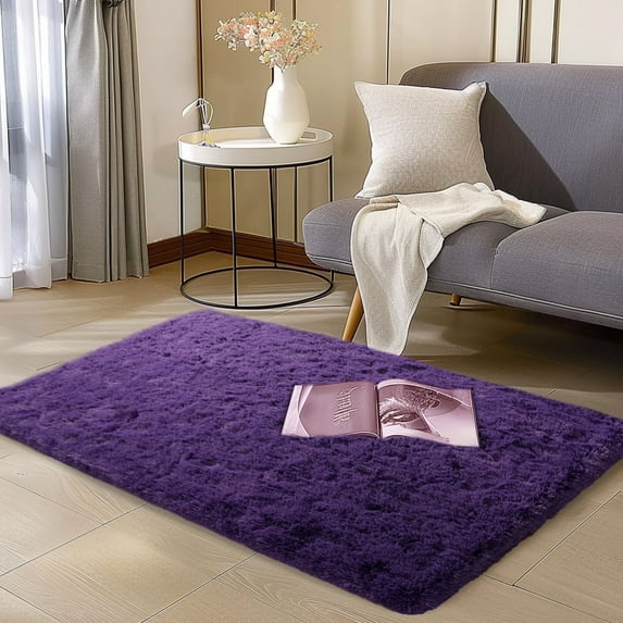 ZENELESS 2x3ft Fluffy Rug,Small Carpets,Small Soft Doormats for Doorways, Bedrooms, Kitchen, and Bathroom Entrances