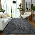 thumbnail image 1 of ZENELESS 4'x6' Fluffy Area Rugs for Living Room Bedroom Carpet Home Decor,Soft Rug Indoor Modern Deep Grey, 1 of 8