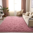 thumbnail image 1 of ZENELESS Indoor Fluffy Rug,5x7 Blush Fuzzy Non-Slip Carpets for Living Room Bedroom Home Decor, 1 of 6