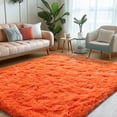 thumbnail image 1 of ZENELESS Indoor Fluffy Rug,5x7 Orange Fuzzy Non-Slip Carpets for Living Room Bedroom Home Decor, 1 of 7