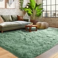 thumbnail image 1 of ZENELESS Indoor Shag Area Rugs,5 x 7 Fuzzy Non-Slip Carpets for Living Room Bedroom Kids Room Nursery Home Decor, 1 of 9