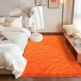 thumbnail image 1 of ZENELESS Solid Shag Collection Rug,4x6ft Tiger Orange Fluffy Area Rugs Perfect for Kid's Room, Cloakroom, 1 of 8