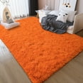 thumbnail image 1 of ZENELESS Solid Shag Collection Rug,8x10ft Tiger Orange Large Fluffy Area Rugs Perfect for Living Room, Bedroom, 1 of 8