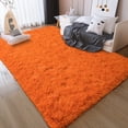 thumbnail image 1 of ZENELESS Ultra Soft Fluffy Rug for Living Room,9x12ft Non-Slip Shaggy Carpet for Bedroom Kids Room Nursery Home Decor Orange, 1 of 7