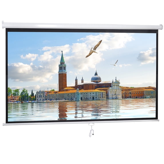 ZENY 100" Diagonal 16:9 Projection Projector Screen HD Manual Pull Down Home Theater
