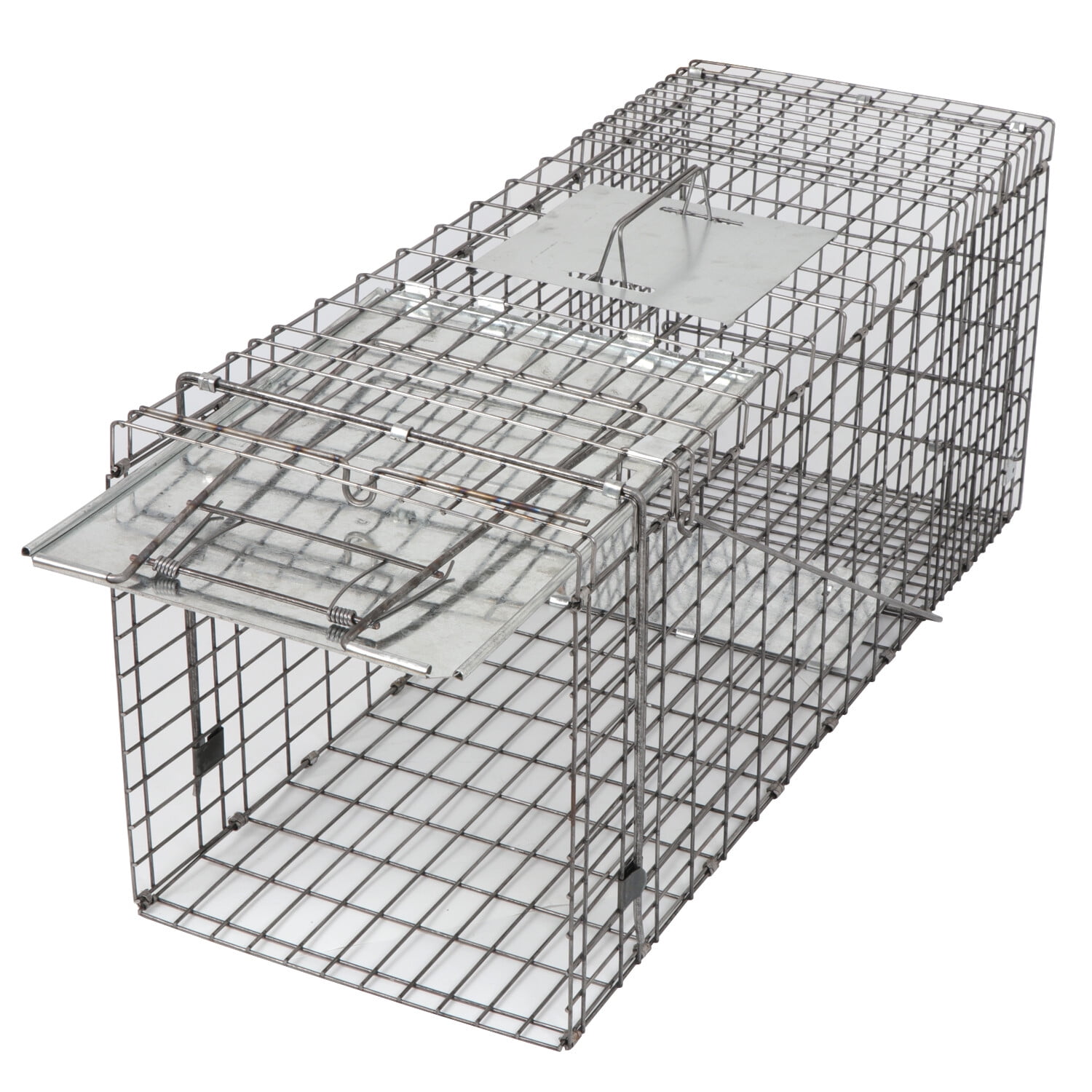 Anyhall Live Squirrel Trap Humane Animal Cage Trap