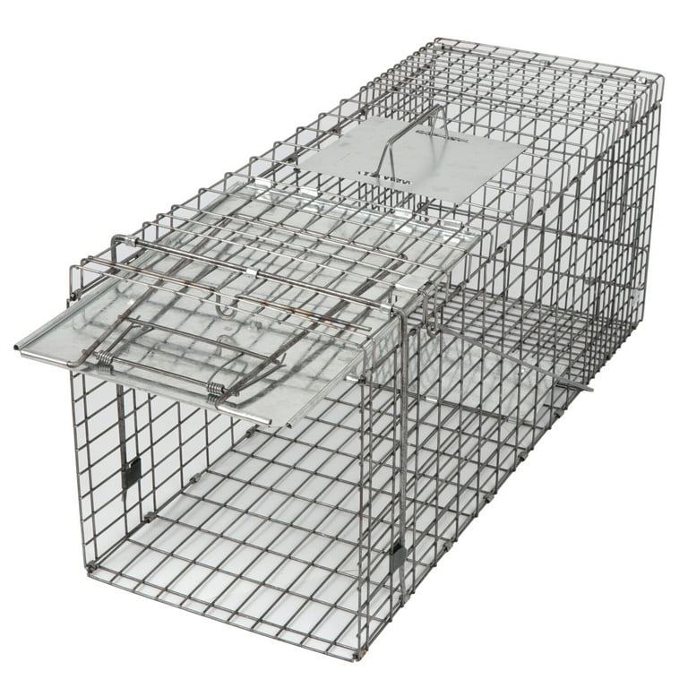 https://i5.walmartimages.com/seo/ZENY-32-L-Humane-Live-Animal-Trap-Cage-for-Raccoons-Cats-Opossums-Stray-Cat-Squirrel_a41a81e3-50d9-421f-9c20-c84f7d01d2ef.1f46520ad4d22ba829b76856d842958d.jpeg?odnHeight=768&odnWidth=768&odnBg=FFFFFF