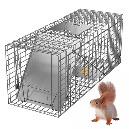 Havahart Small Squirrel, Chipmunks Catch and Release Trap with Spring ...