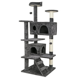 Cat top play gym
