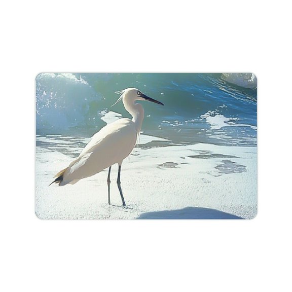 ZFLMY Bird Beach Wave Diatom Mud Mats Non-Slip Quick Drying Home 24x16in