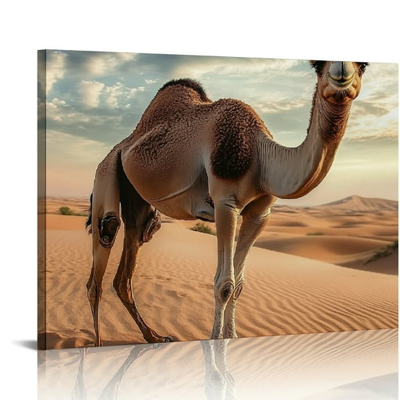 ZFLMY Camel Desert Sand Art Modern Canvas Prints Wall Art Decor, Ready To Hang Home Room Decoration 16x12in