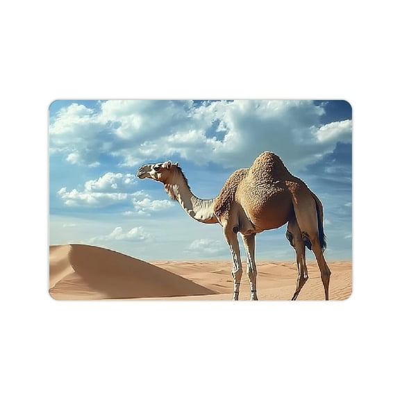 ZFLMY Camel Desert Sky Fast Absorption Home Bath Rug Mat 24x16in