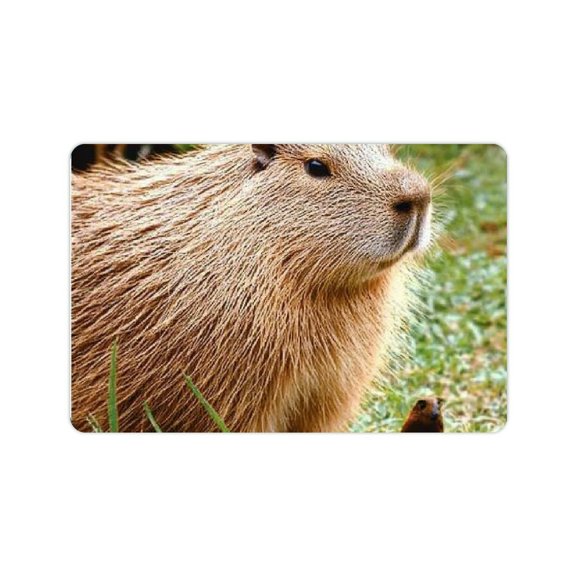 ZFLMY Capybara Grass Bird Bath Mat Eco-Friendly Quick Drying 24x16 24x16in