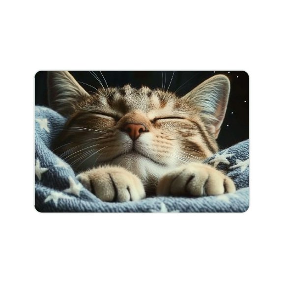 ZFLMY Cat Blanket Peaceful Diatom Mud Mat Non-Slip Fast Absorption 24x16in